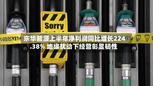 东华能源上半年净利润同比增长224.38% 地缘扰动下经营彰显韧性-第2张图片