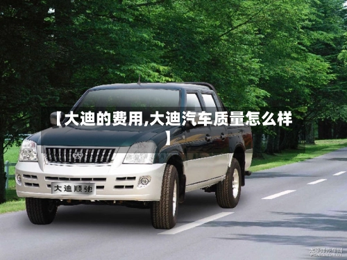 【大迪的费用,大迪汽车质量怎么样】-第2张图片