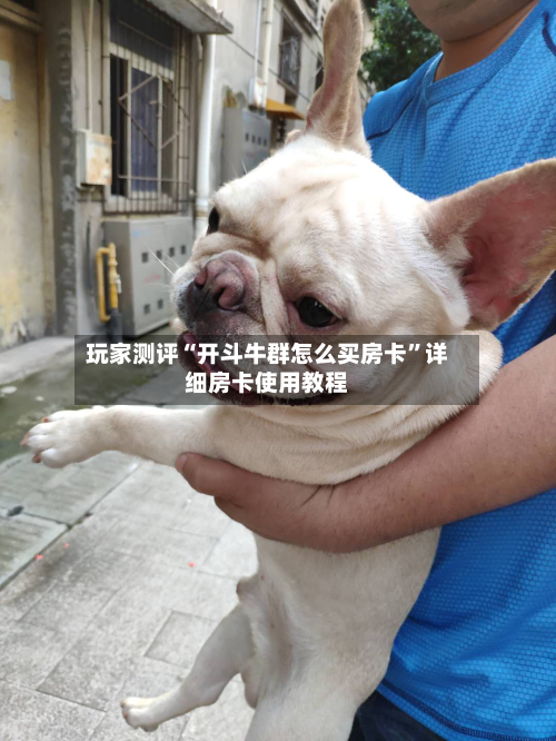 玩家测评“开斗牛群怎么买房卡”详细房卡使用教程-第2张图片