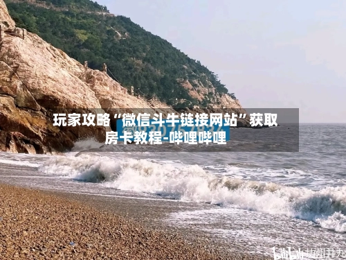 玩家攻略“微信斗牛链接网站”获取房卡教程-哔哩哔哩-第3张图片