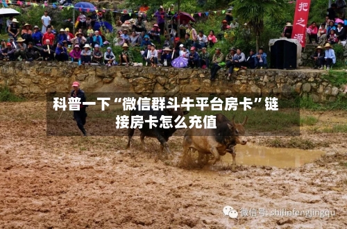科普一下“微信群斗牛平台房卡”链接房卡怎么充值-第2张图片