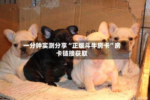 一分钟实测分享“正版斗牛房卡”房卡链接获取-第2张图片