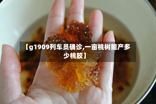 【g1909列车员确诊,一亩桃树能产多少桃胶】