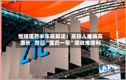 恒瑞医药半年报解读：高投入难换高增长   昔日“医药一哥”增收难增利-第2张图片