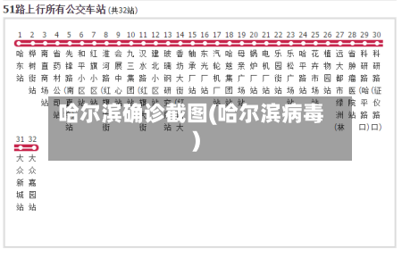 哈尔滨确诊截图(哈尔滨病毒)