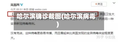 哈尔滨确诊截图(哈尔滨病毒)-第2张图片