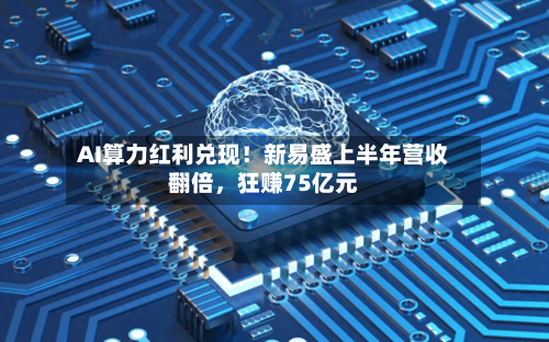 AI算力红利兑现！新易盛上半年营收翻倍，狂赚75亿元-第3张图片