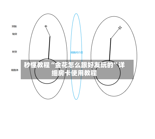 秒懂教程“金花怎么跟好友玩的”详细房卡使用教程-第2张图片