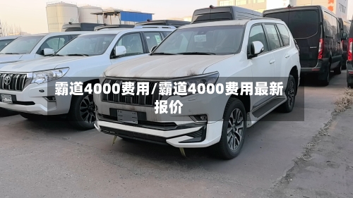 霸道4000费用/霸道4000费用最新报价
