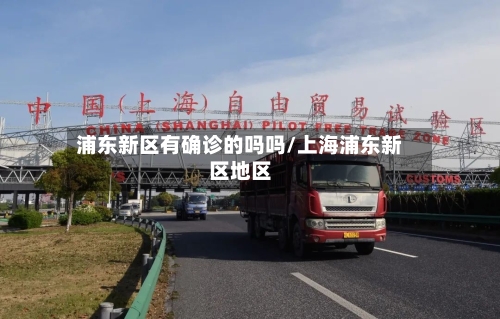 浦东新区有确诊的吗吗/上海浦东新区地区-第2张图片