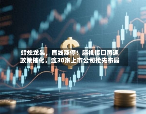 蜡烛龙头，直线涨停！脑机接口再迎政策催化，逾30家上市公司抢先布局-第3张图片