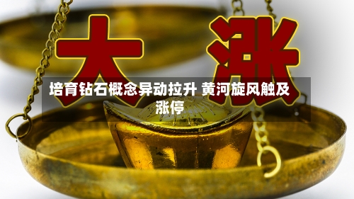 培育钻石概念异动拉升 黄河旋风触及涨停-第2张图片