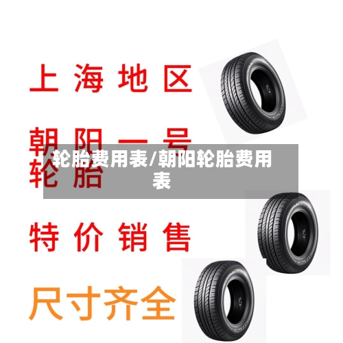 轮胎费用表/朝阳轮胎费用表
