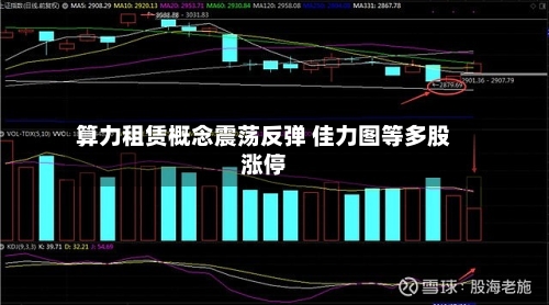 算力租赁概念震荡反弹 佳力图等多股涨停