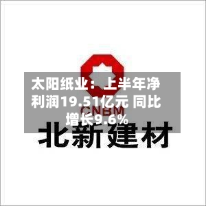 太阳纸业:上半年净利润19.51亿元 同比增长9.6%-第2张图片