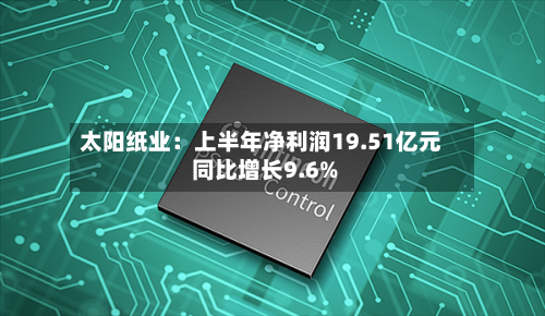 太阳纸业:上半年净利润19.51亿元 同比增长9.6%-第3张图片