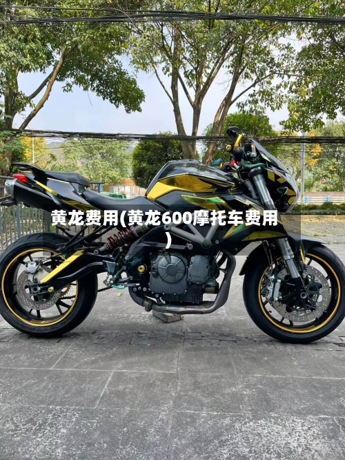 黄龙费用(黄龙600摩托车费用)-第2张图片