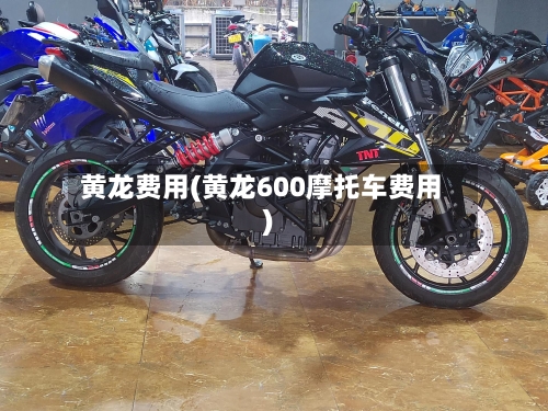 黄龙费用(黄龙600摩托车费用)