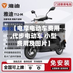 【电摩电动车费用,代步电动车 小型费用及图片】