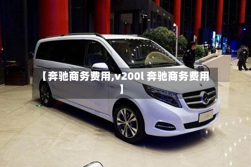 【奔驰商务费用,v200l 奔驰商务费用】-第3张图片