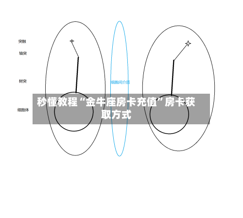 秒懂教程“金牛座房卡充值”房卡获取方式-第2张图片