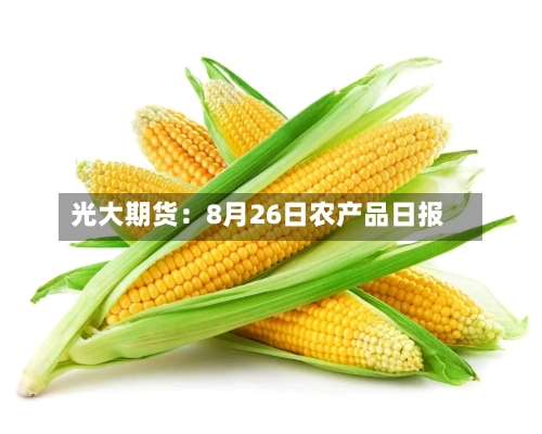 光大期货:8月26日农产品日报-第1张图片