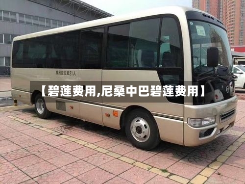 【碧莲费用,尼桑中巴碧莲费用】