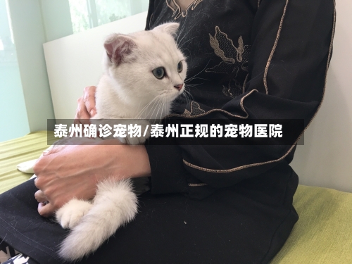 泰州确诊宠物/泰州正规的宠物医院-第2张图片