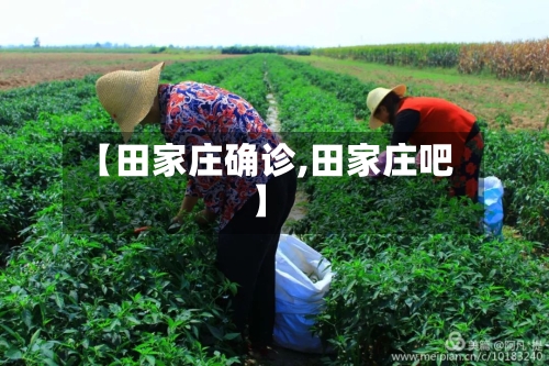 【田家庄确诊,田家庄吧】