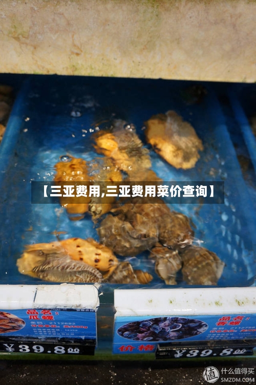 【三亚费用,三亚费用菜价查询】-第2张图片
