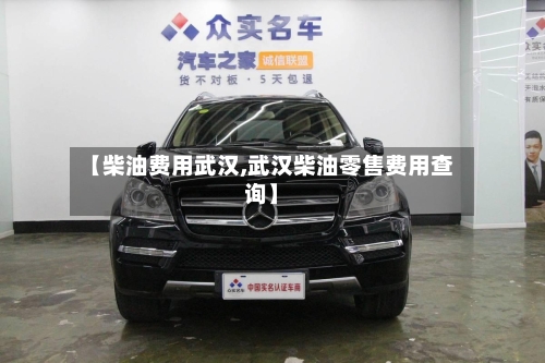 【柴油费用武汉,武汉柴油零售费用查询】