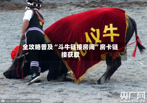 全攻略普及“斗牛链接房间”房卡链接获取-第2张图片
