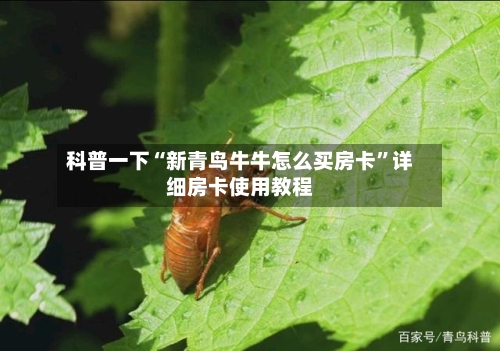科普一下“新青鸟牛牛怎么买房卡	”详细房卡使用教程-第2张图片