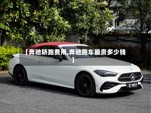 【奔驰轿跑费用,奔驰跑车最贵多少钱】-第3张图片
