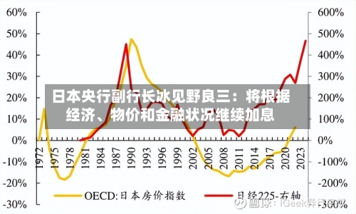 日本央行副行长冰见野良三：将根据经济、物价和金融状况继续加息