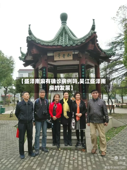 【盛泽南麻有确诊病例吗,吴江盛泽南麻的发展】-第3张图片