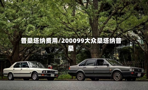 普桑塔纳费用/200099大众桑塔纳普桑