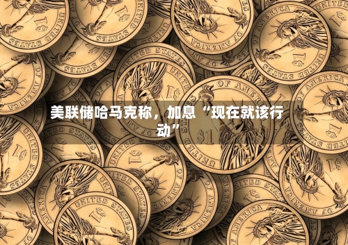 美联储哈马克称	，加息 “现在就该行动”-第3张图片