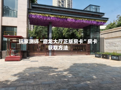 玩家测评“磨龙大厅正版房卡	”房卡获取方法-第2张图片