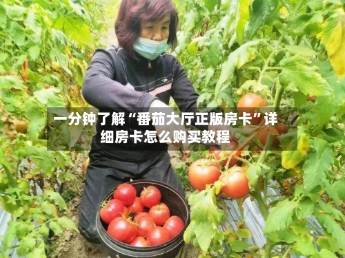 一分钟了解“番茄大厅正版房卡”详细房卡怎么购买教程-第2张图片
