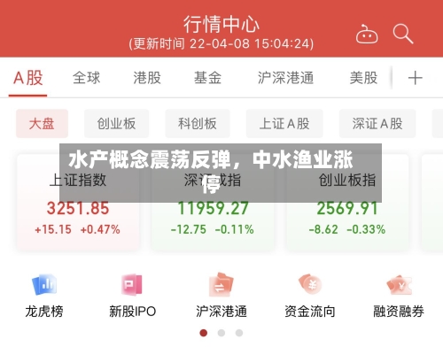 水产概念震荡反弹，中水渔业涨停