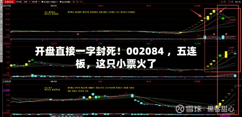 开盘直接一字封死！002084 	，五连板，这只小票火了-第2张图片