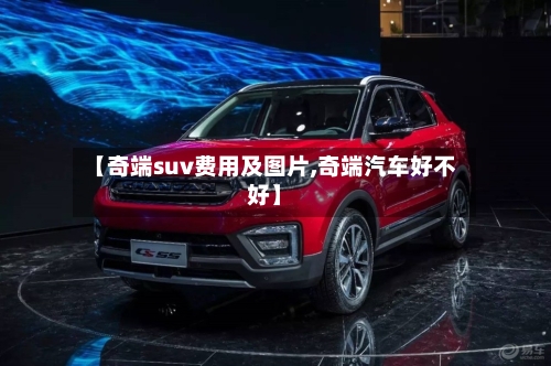 【奇端suv费用及图片,奇端汽车好不好】-第3张图片