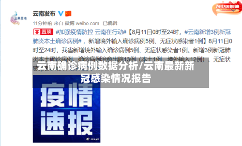 云南确诊病例数据分析/云南最新新冠感染情况报告-第2张图片