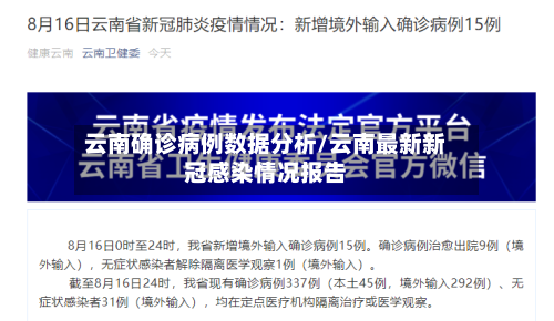 云南确诊病例数据分析/云南最新新冠感染情况报告-第3张图片