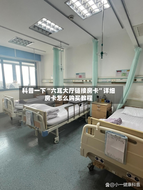 科普一下“六耳大厅链接房卡”详细房卡怎么购买教程-第3张图片