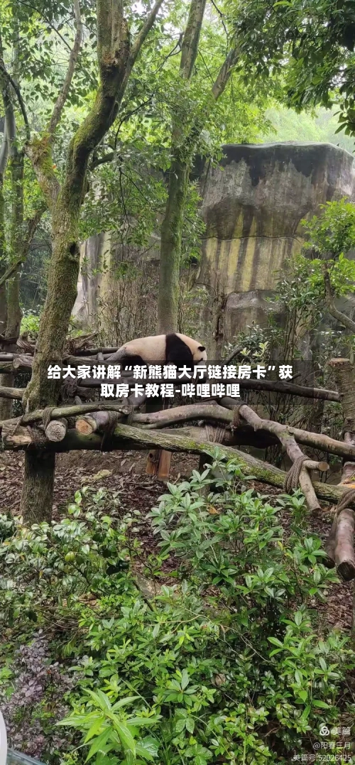 给大家讲解“新熊猫大厅链接房卡”获取房卡教程-哔哩哔哩-第3张图片