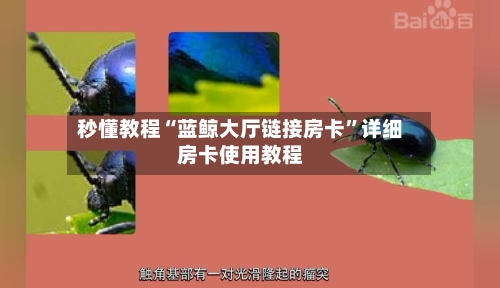 秒懂教程“蓝鲸大厅链接房卡	”详细房卡使用教程-第2张图片