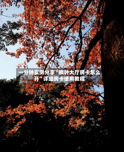 一分钟实测分享“枫叶大厅房卡怎么开”详细房卡使用教程-第2张图片