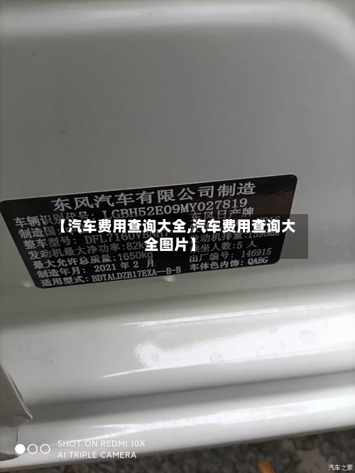 【汽车费用查询大全,汽车费用查询大全图片】-第2张图片